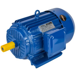 Silnik elektryczny 3,0KW 380V KD1816