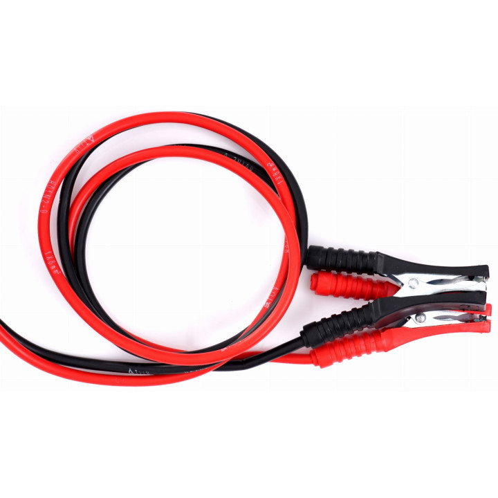 Prostownik akumulatorowy 12/24V 30/250aH KD1924