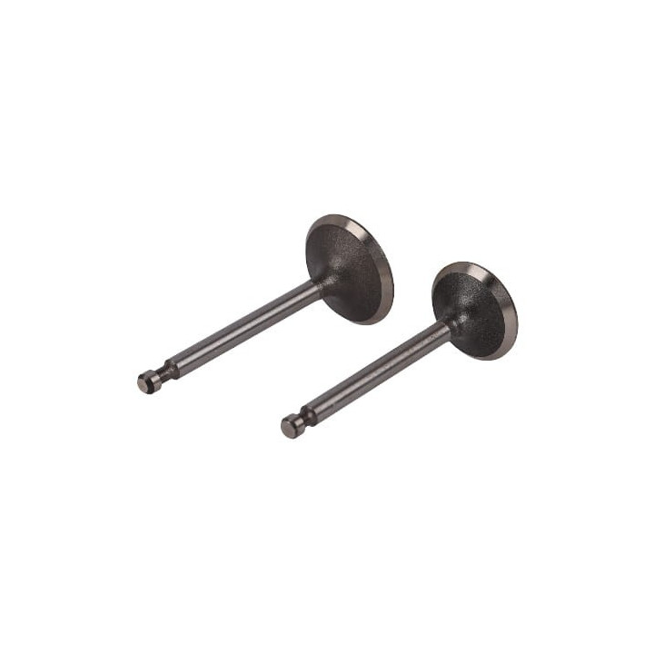 KOMPLET ZAWORÓW DO KD107 KD108 nr742