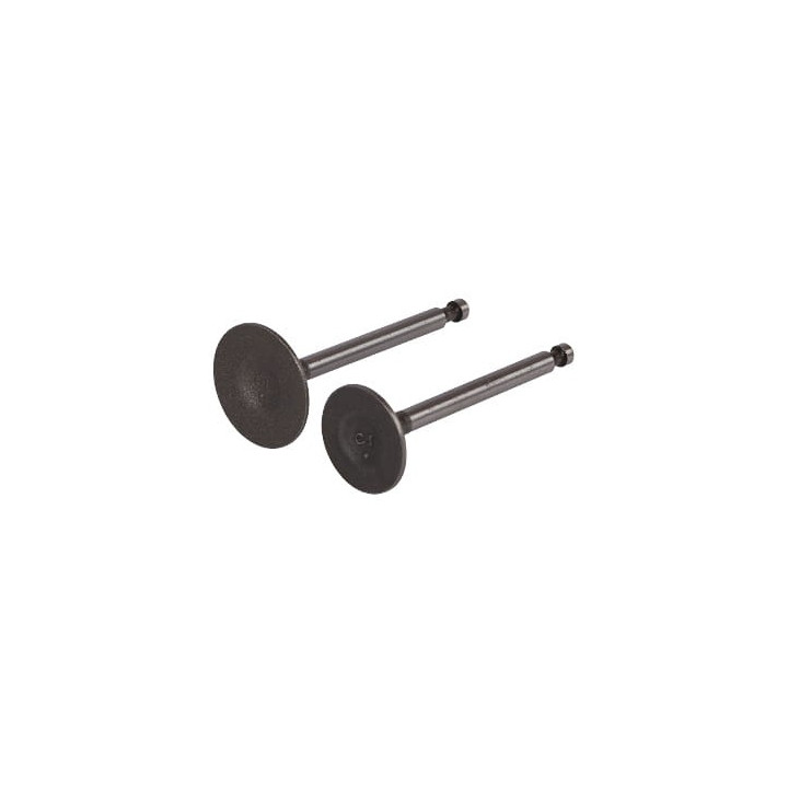 KOMPLET ZAWORÓW DO KD107 KD108 nr742